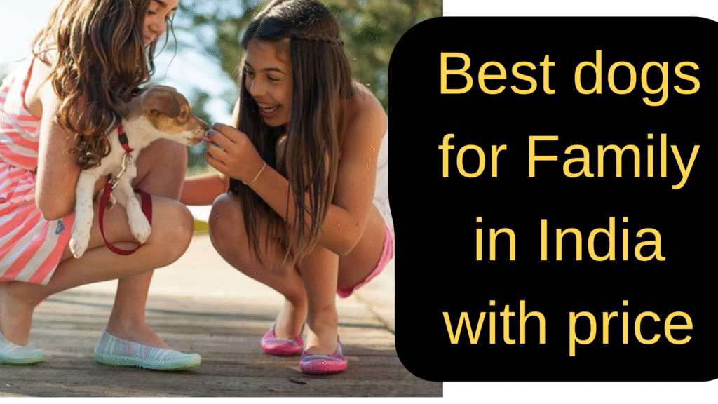5 Best dogs for Family in India with price (2025)