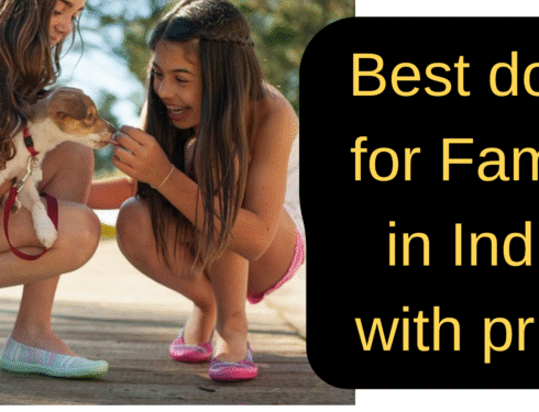 Best dogs for Family in India with price